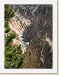 115. grand canyon of yellowstone * 1704 x 2272 * (2.33MB)